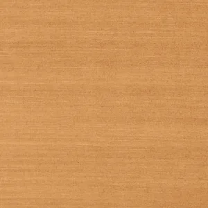Thibaut Shang Extra Fine Sisal in Pumpkin (T5026)