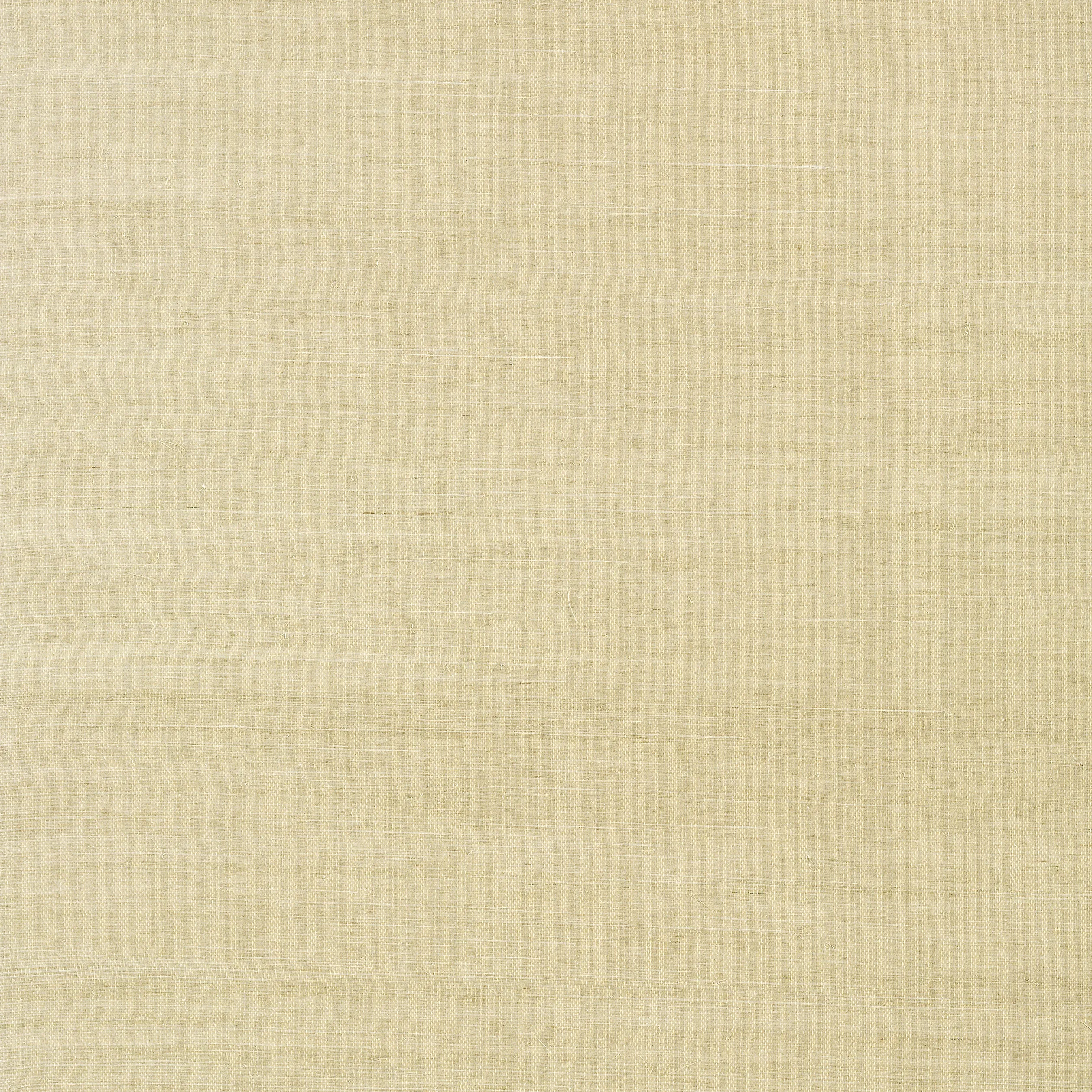 Thibaut Shang Extra Fine Sisal in Putty (T5032)