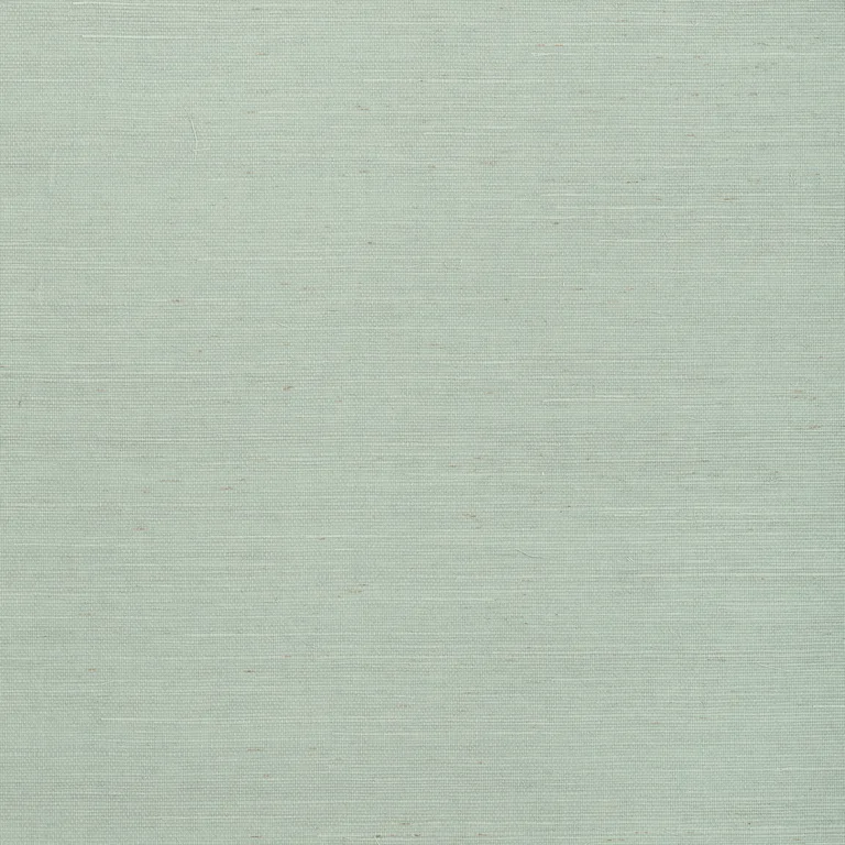 Thibaut Shang Extra Fine Sisal in Seamist (T72834)