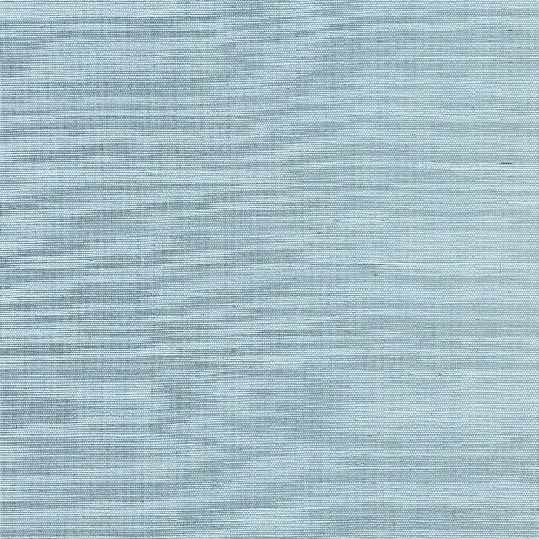 Thibaut Shang Extra Fine Sisal in Seawater (T19616)