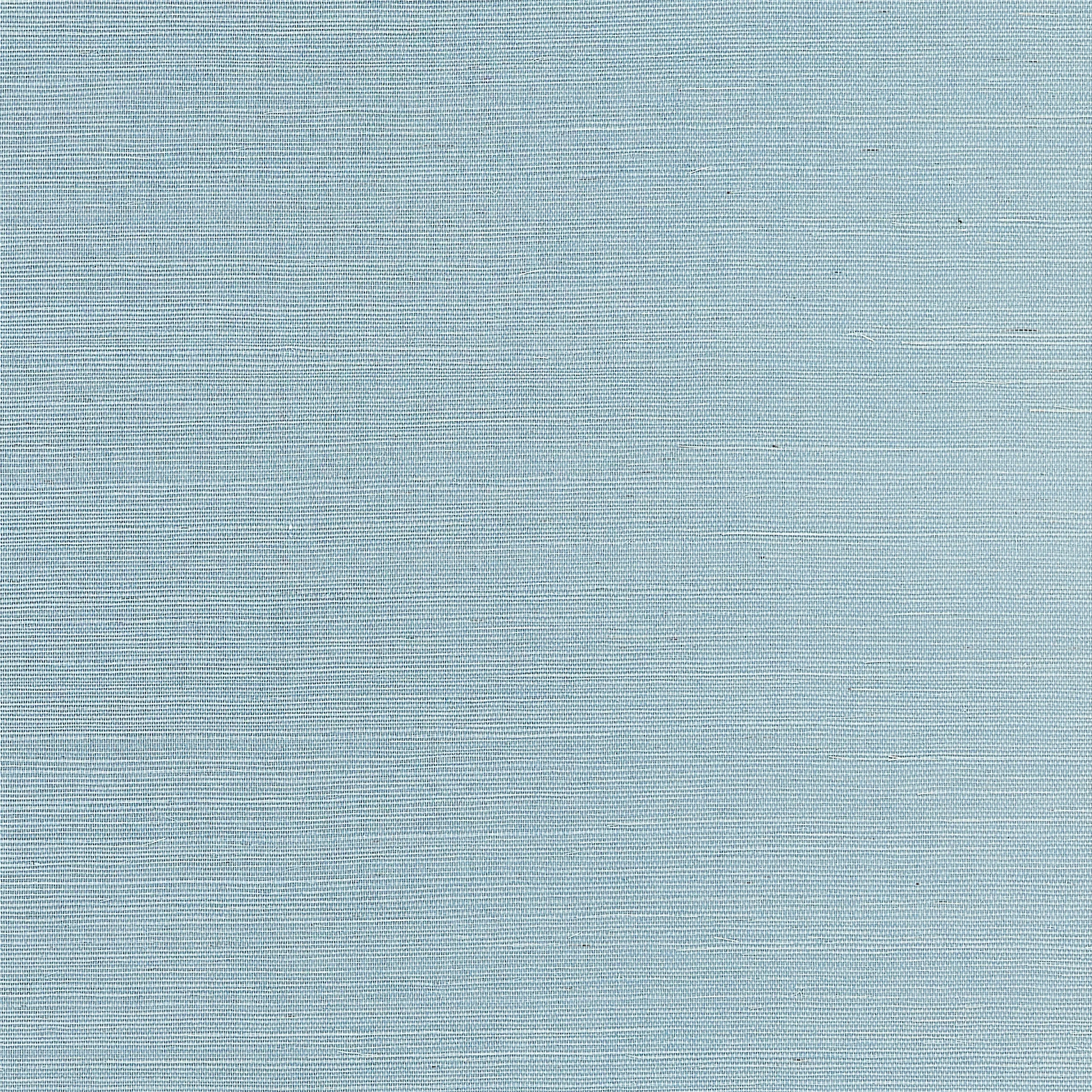 Thibaut Shang Extra Fine Sisal in Seawater (T19616)
