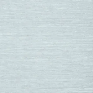 Thibaut Shang Extra Fine Sisal in Sky Blue (T5021)