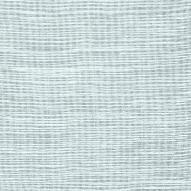 Thibaut Shang Extra Fine Sisal in Sky Blue (T5021)