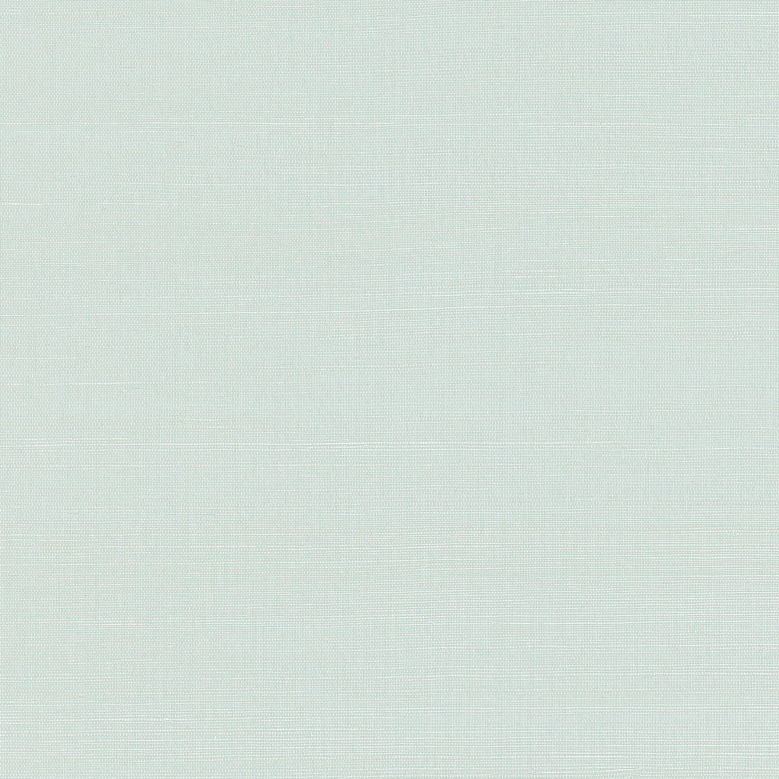 T19614 | Shang Extra Fine Sisal – Soft Fern