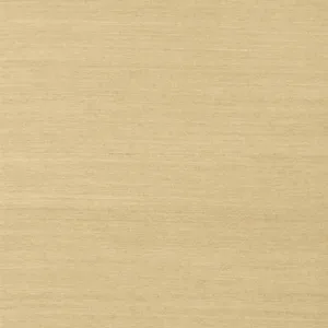 Thibaut Shang Extra Fine Sisal in Taupe (T5031)
