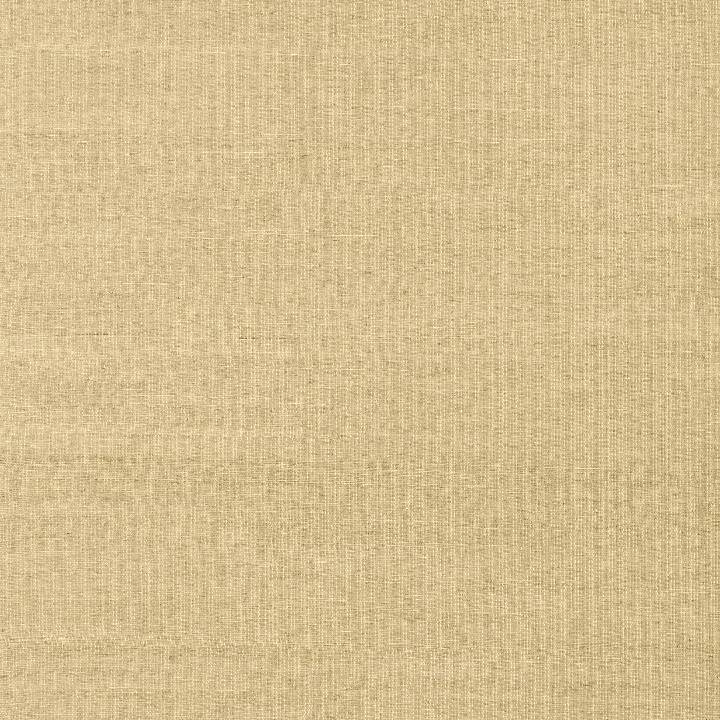 Thibaut Shang Extra Fine Sisal in Taupe (T5031)