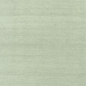 Thibaut Shang Extra Fine Sisal in Teal (T41192)