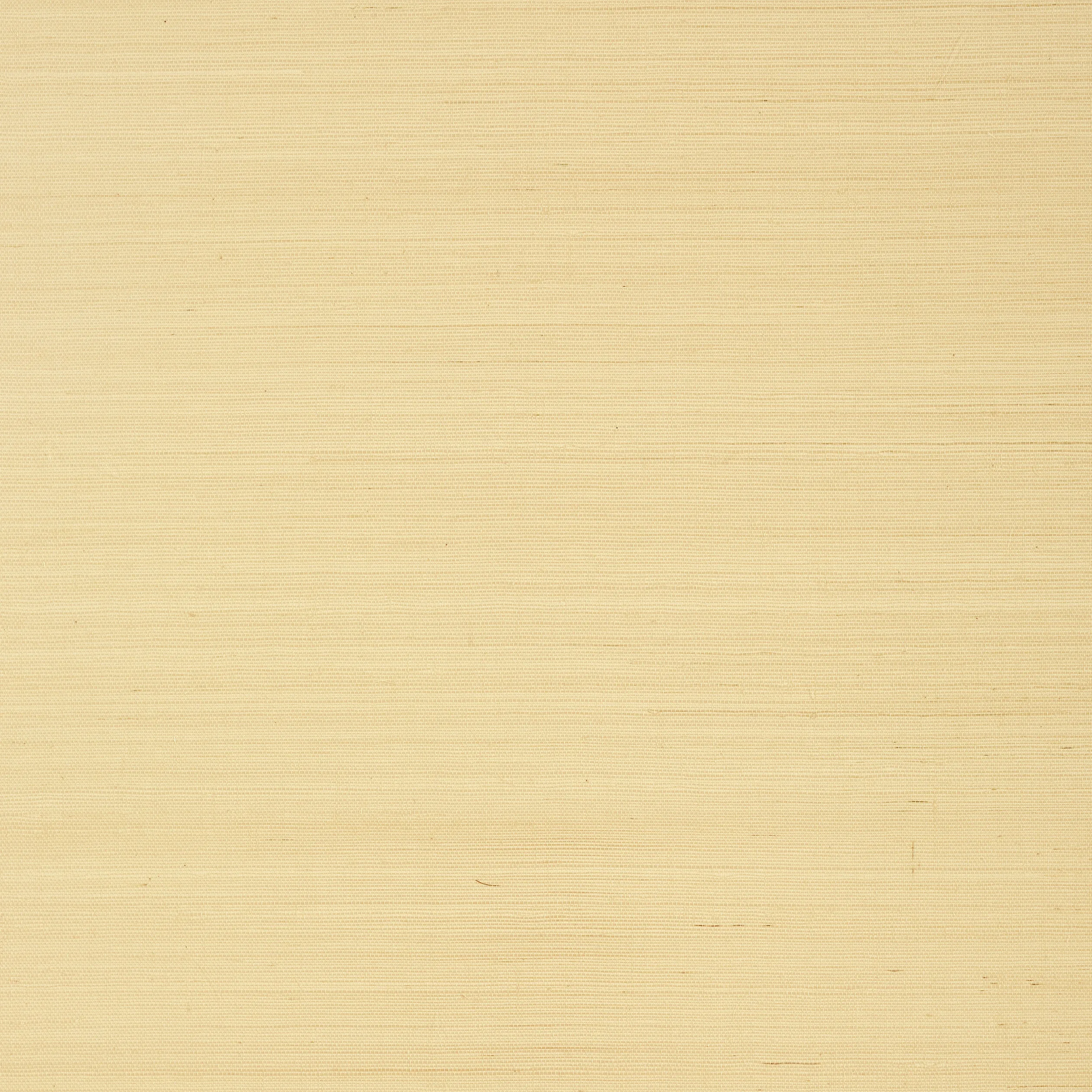 T5029 | Shang Extra Fine Sisal – Vanilla