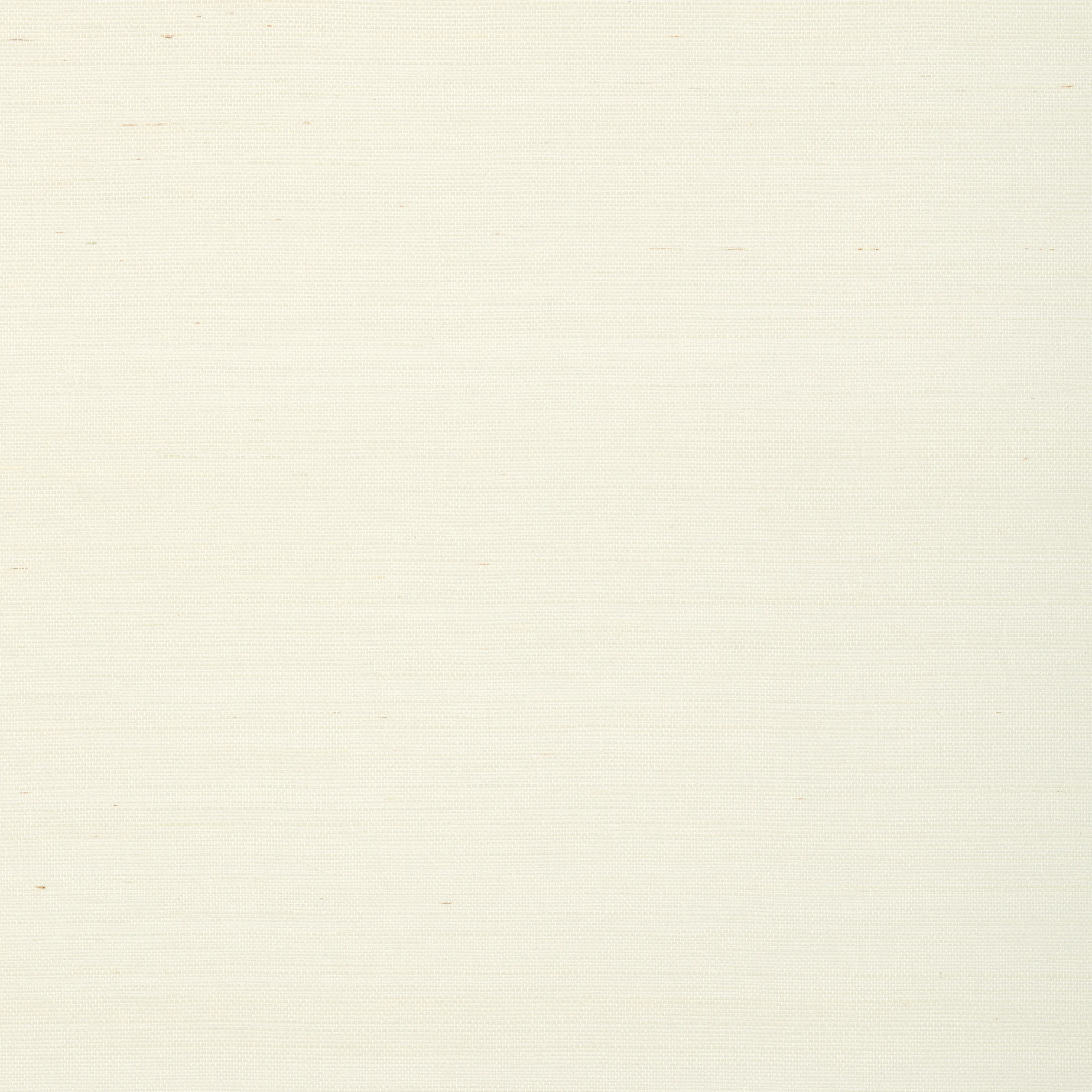 Thibaut Shang Extra Fine Sisal in White (T72831)