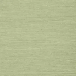 Thibaut Shang Extra Fine Sisal in Willow (T5016)