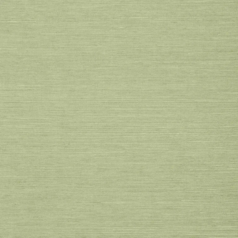 Thibaut Shang Extra Fine Sisal in Willow (T5016)
