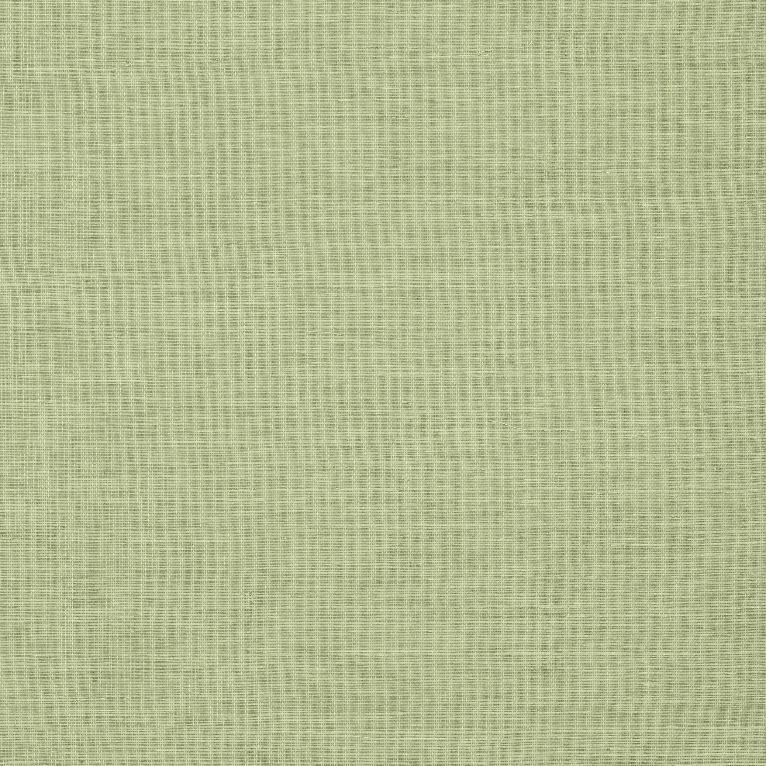 T5016 | Shang Extra Fine Sisal – Willow