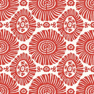 Thibaut Solis in Coral (T10080)