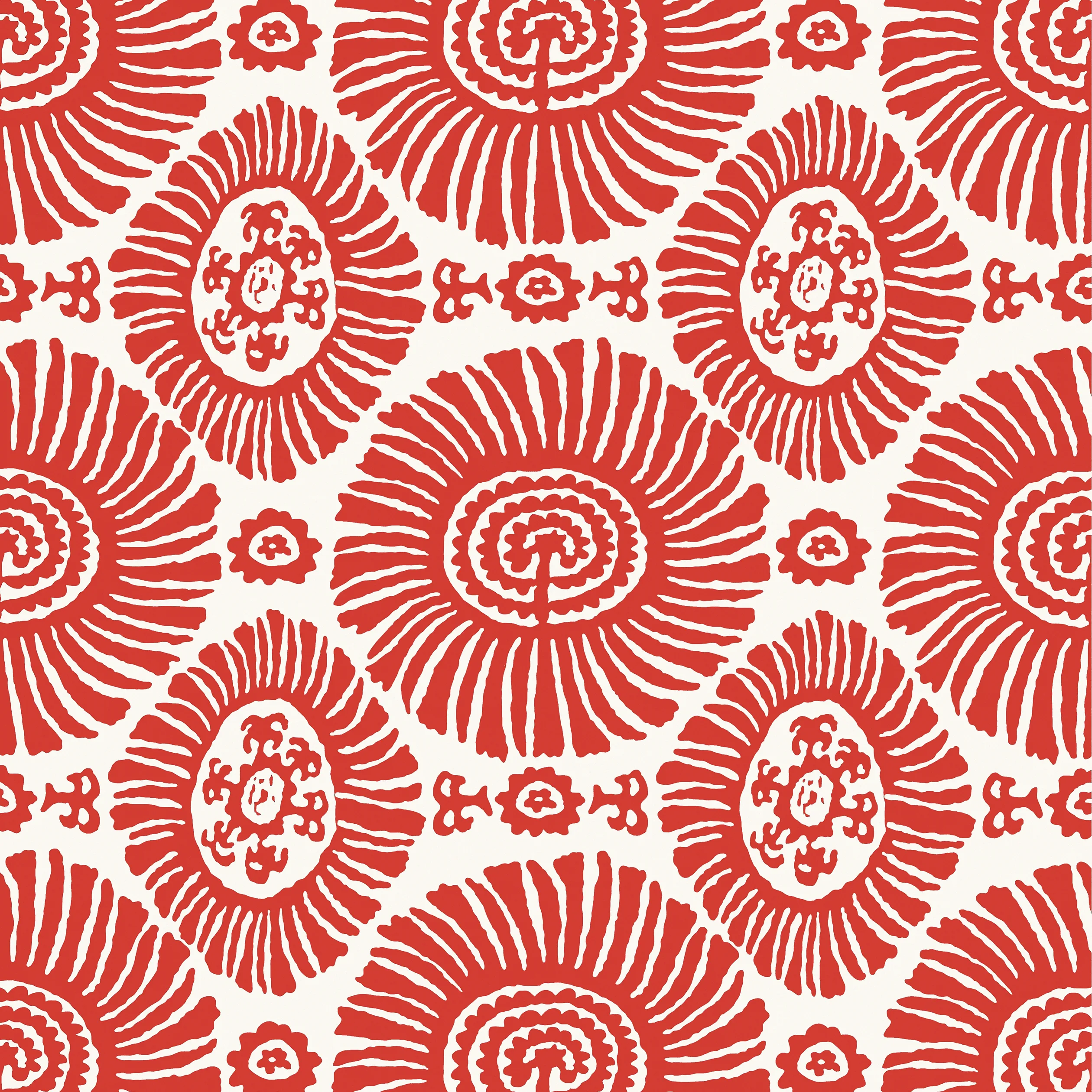 Thibaut Solis in Coral (T10080)