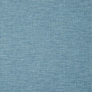 Thibaut Spiro in Blue (T14568)