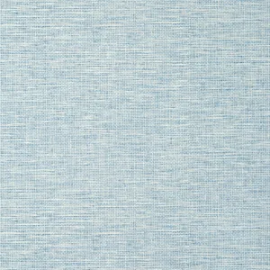 Thibaut Spiro in Cornflower (T14566)