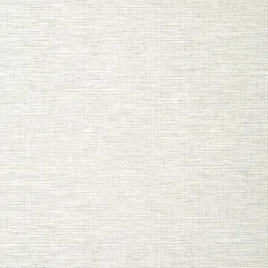 Thibaut Spiro in Grey (T14562)