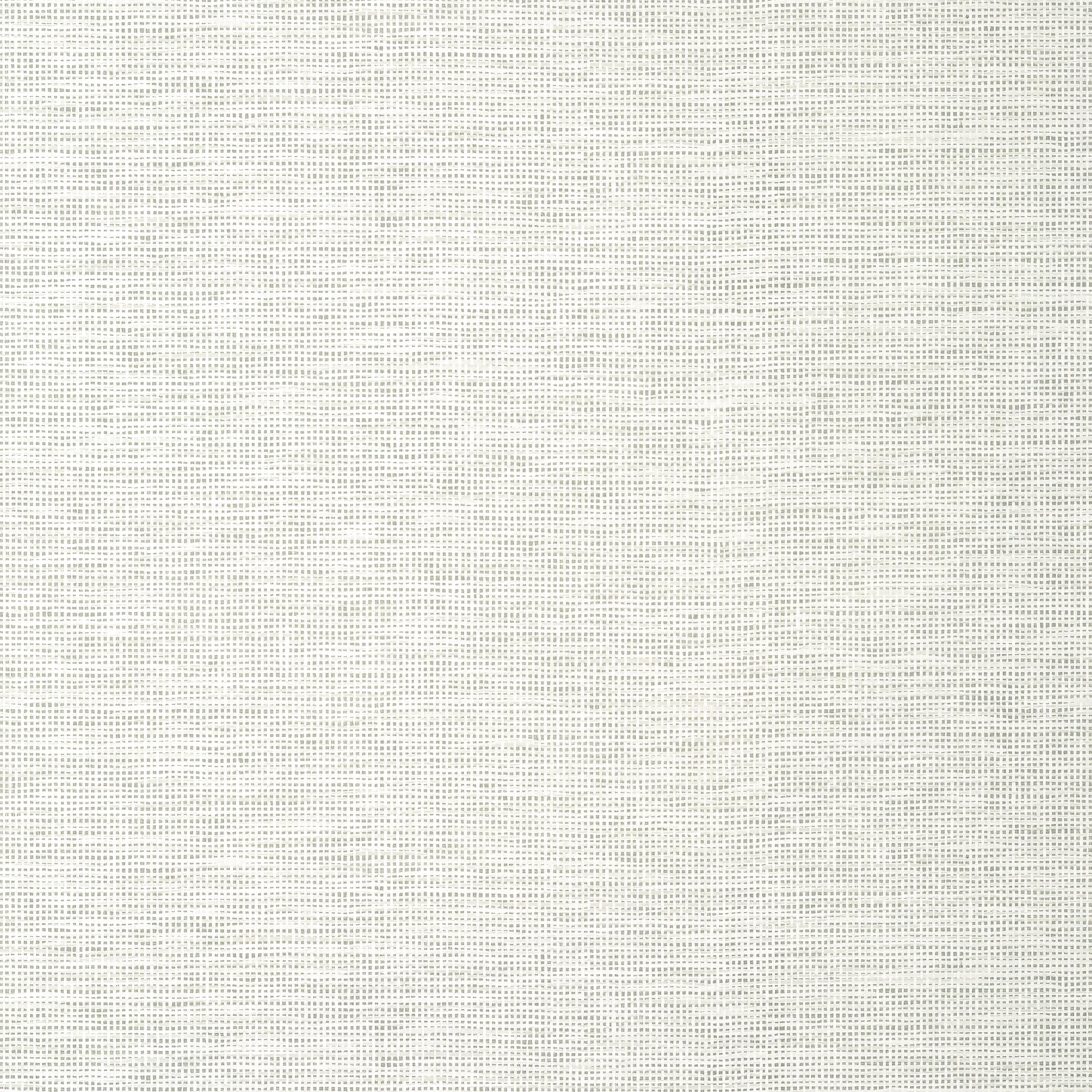 Thibaut Spiro in Grey (T14562)