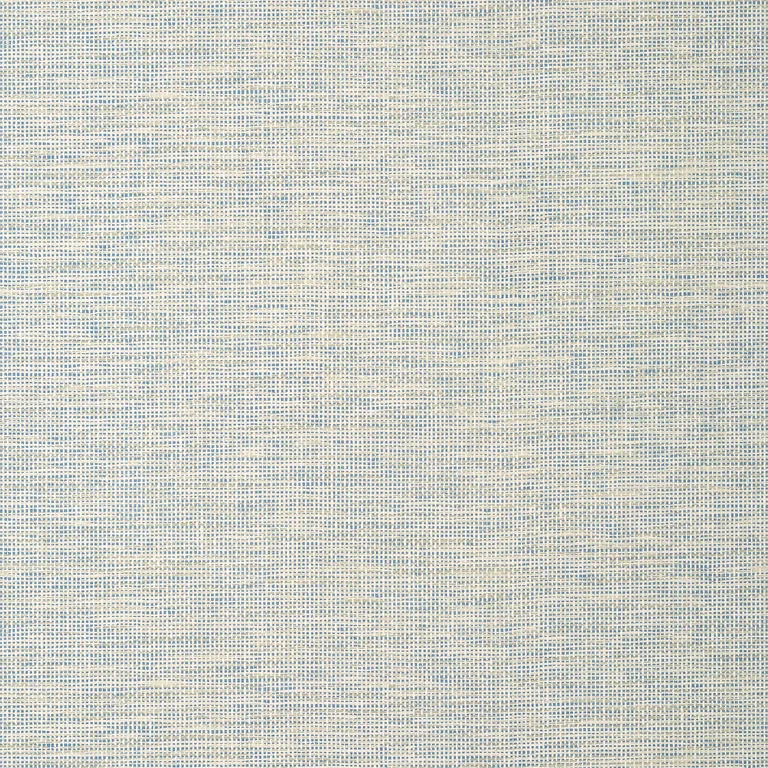 Thibaut Spiro in Neutral and Blue (T14586)