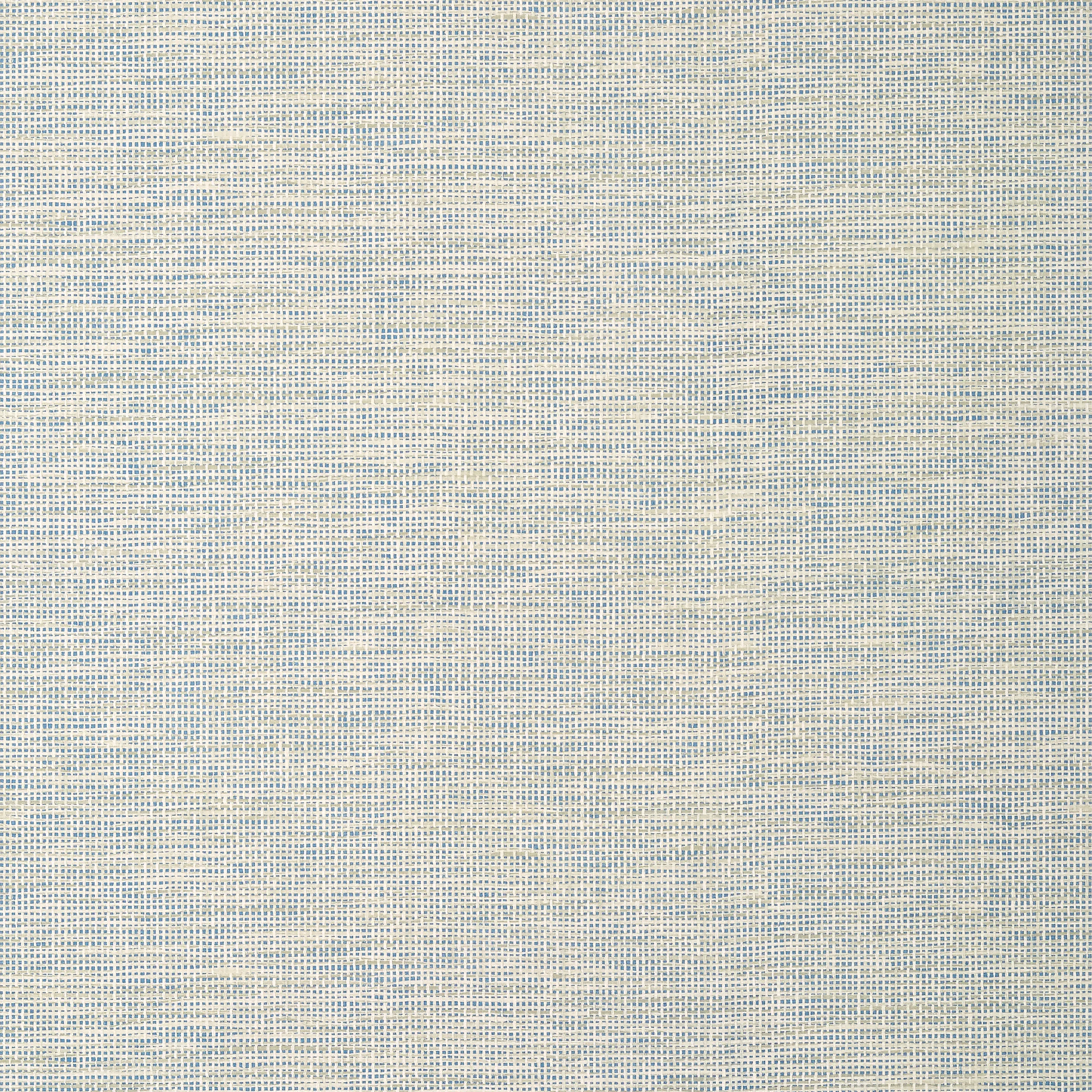 Thibaut Spiro in Neutral and Blue (T14586)