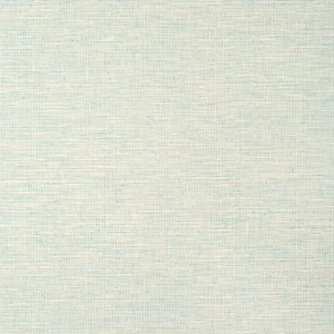 Thibaut Spiro in Robin's Egg (T14565)
