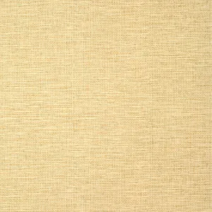 Thibaut Spiro in Straw (T14564)