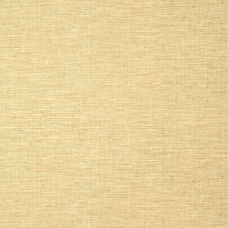 Thibaut Spiro in Straw (T14564)