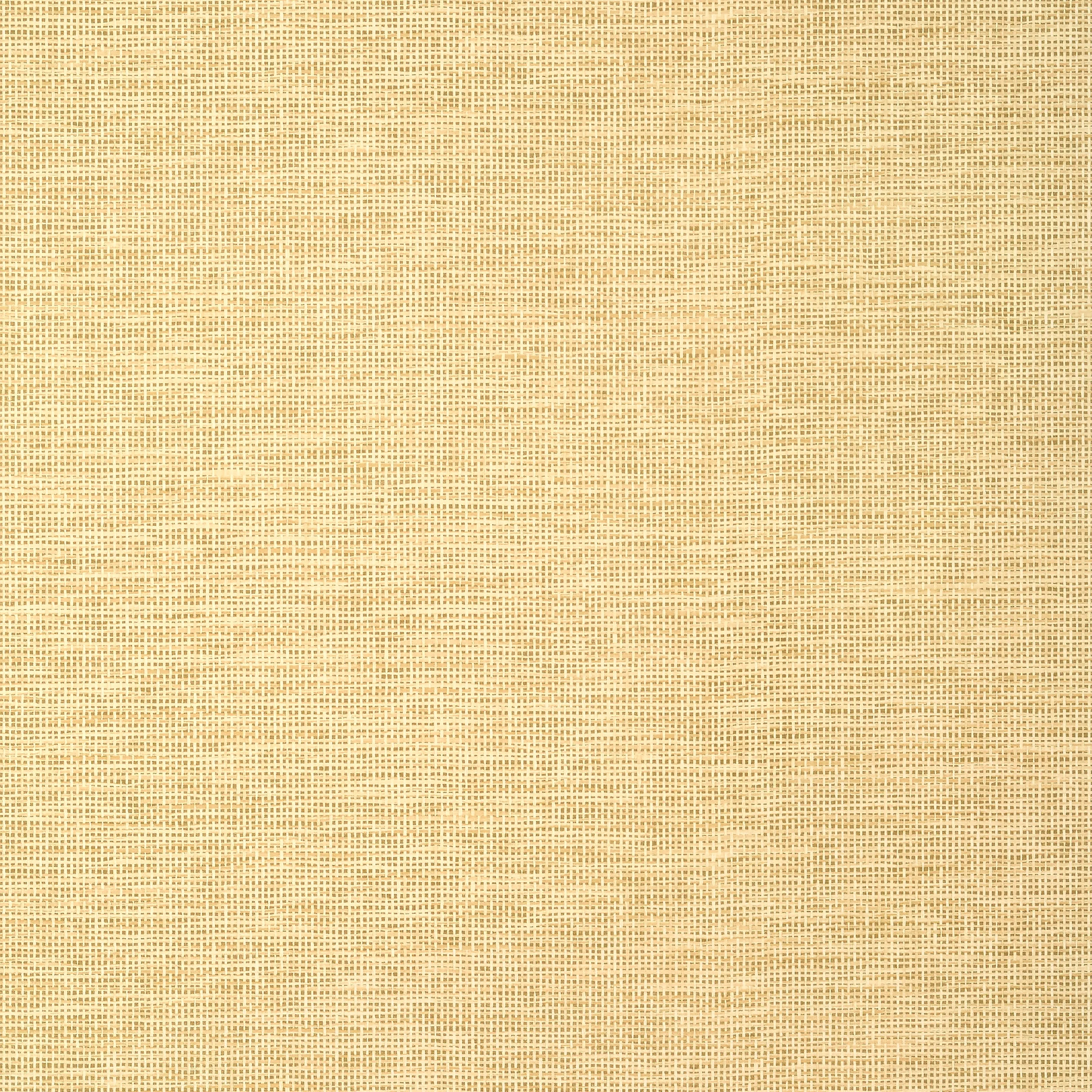 Thibaut Spiro in Straw (T14564)