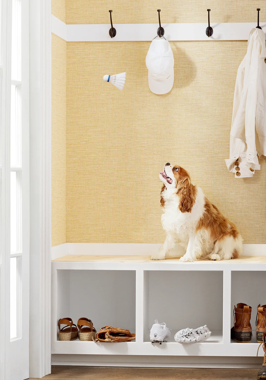 Thibaut Spiro in Straw (T14564)