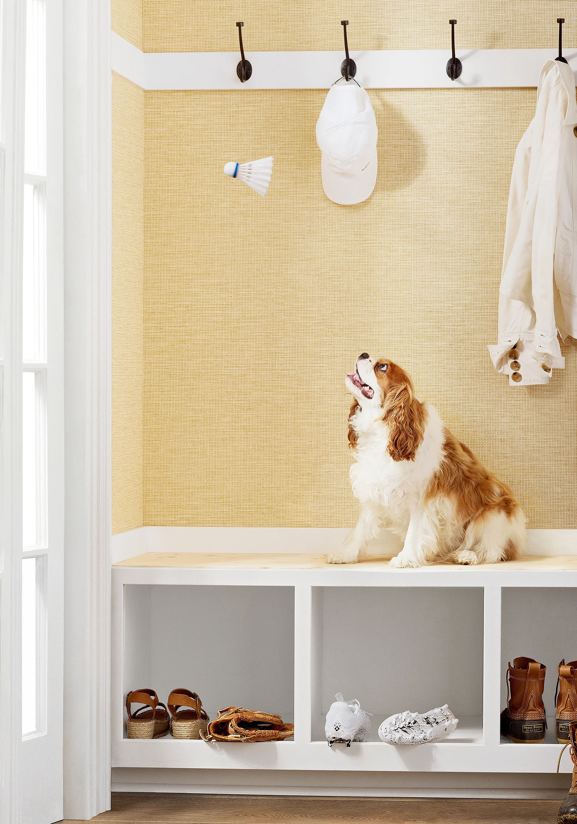 Thibaut Spiro in Straw (T14564)