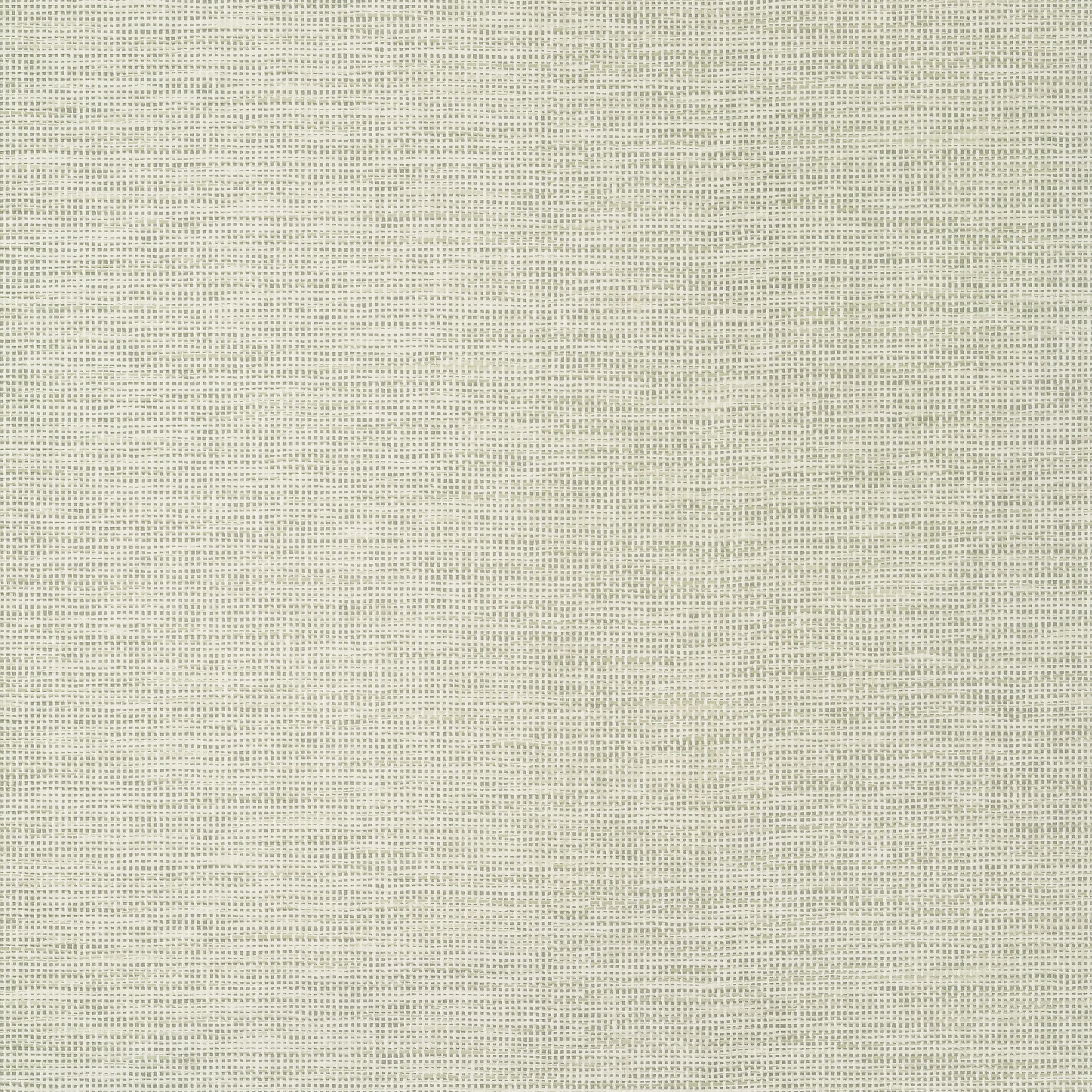 Thibaut Spiro in Taupe (T14563)