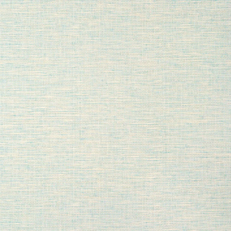 Thibaut Spiro Wide Width in Robin's Egg (TWW14565)