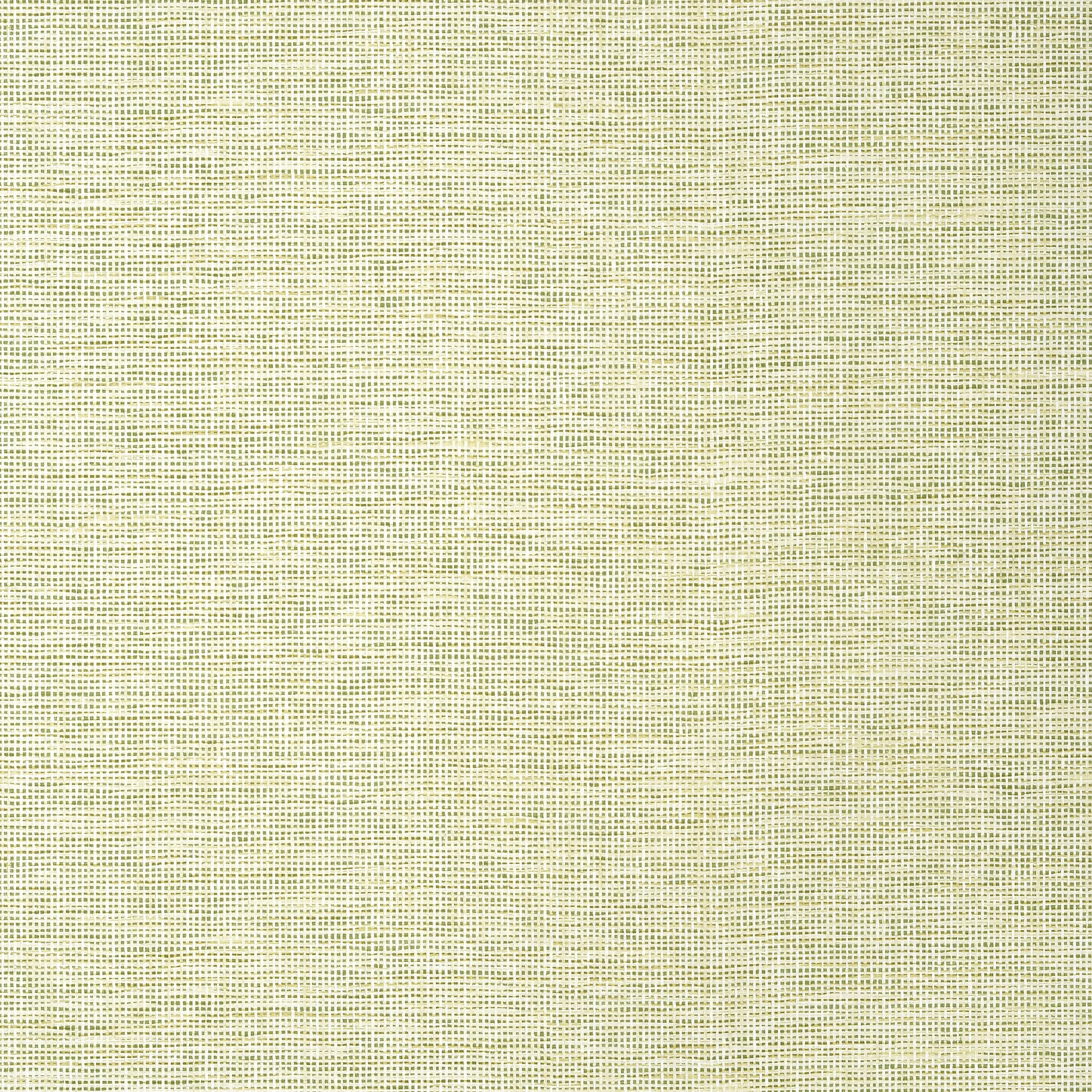 TWW14585 | Spiro Wide Width – Spring