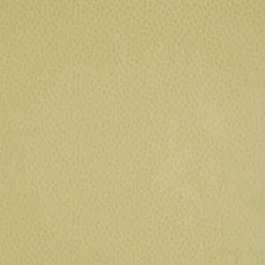 Anna French Spot on in Citron Pearl (AT1413)