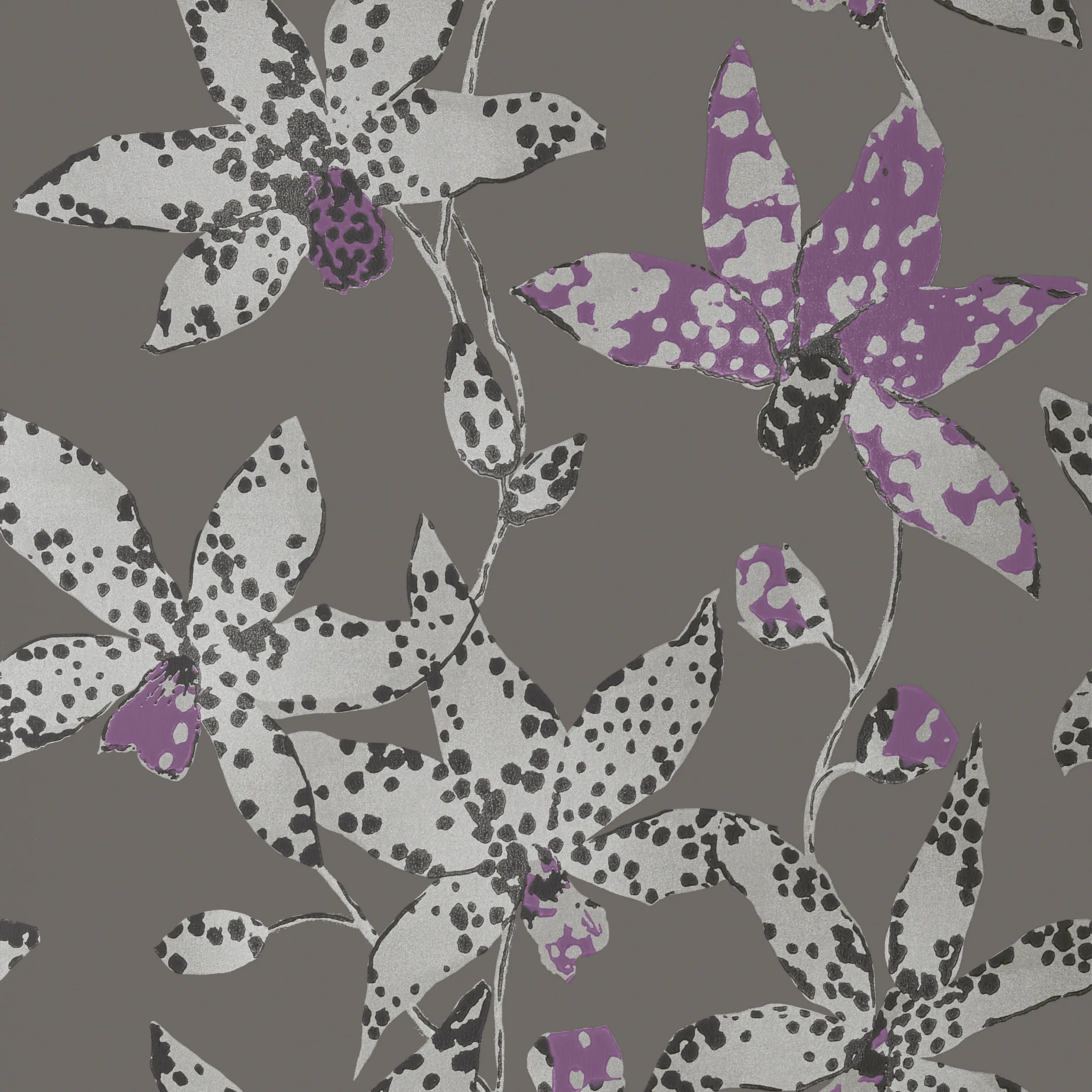 Anna French Spotted Orchid in Silver on Charcoal (AT6047)