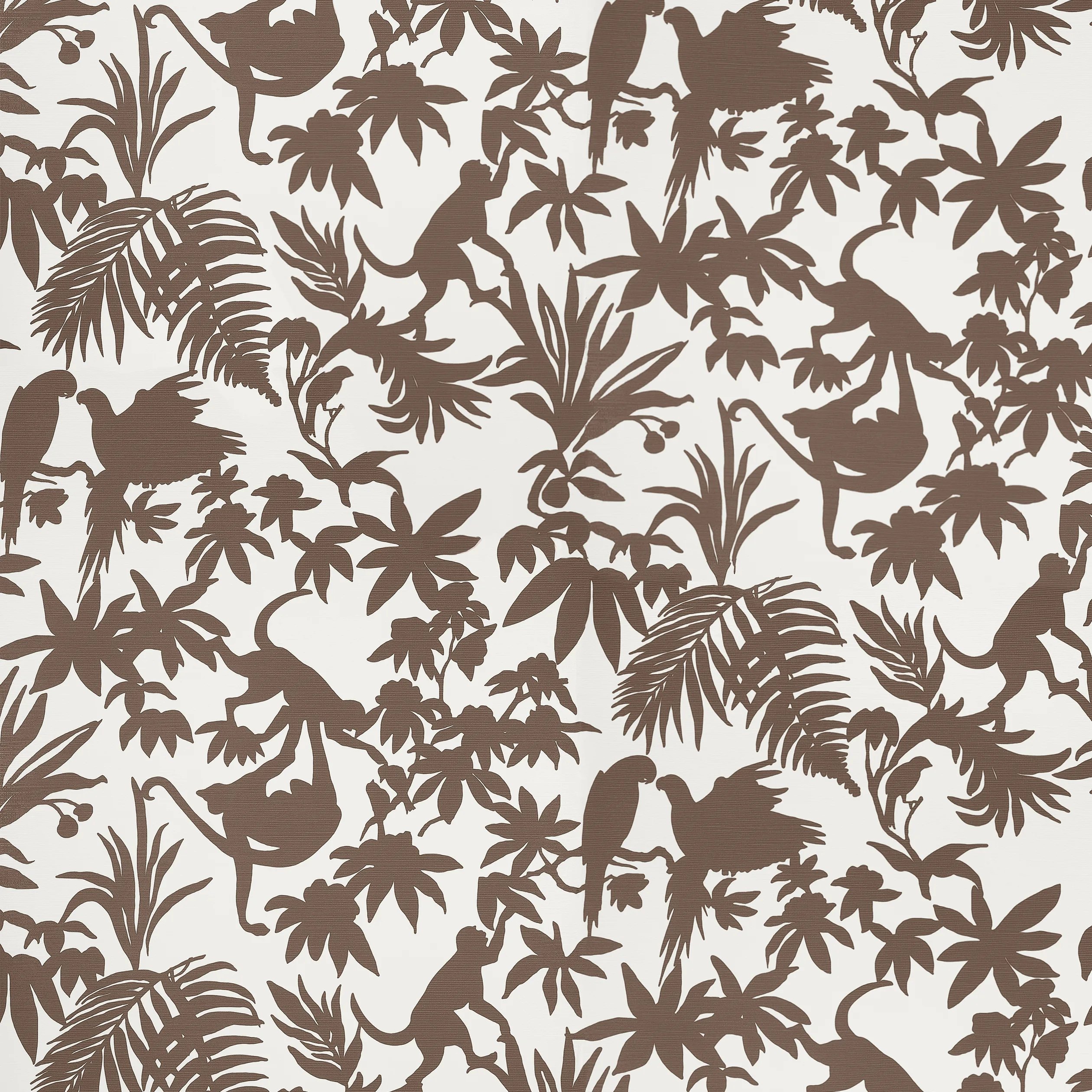 Thibaut St. Kitts in Brown (T15860)