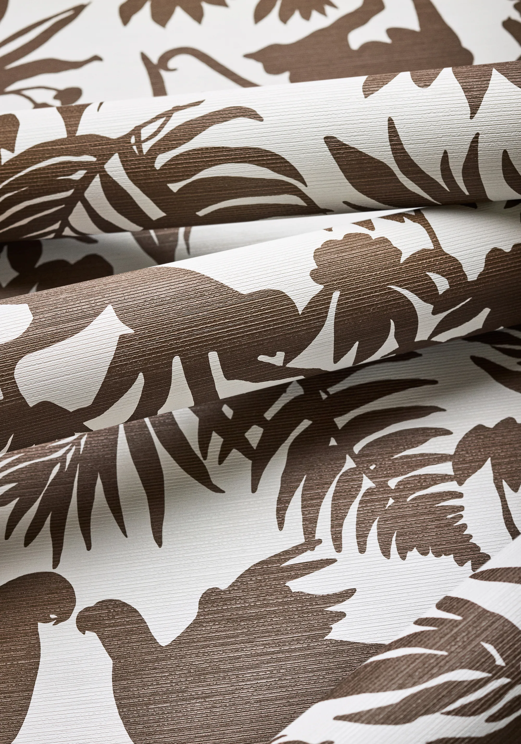Thibaut St. Kitts in Brown (T15860)