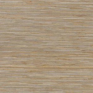 Thibaut St. Martin in Grey (T3616)