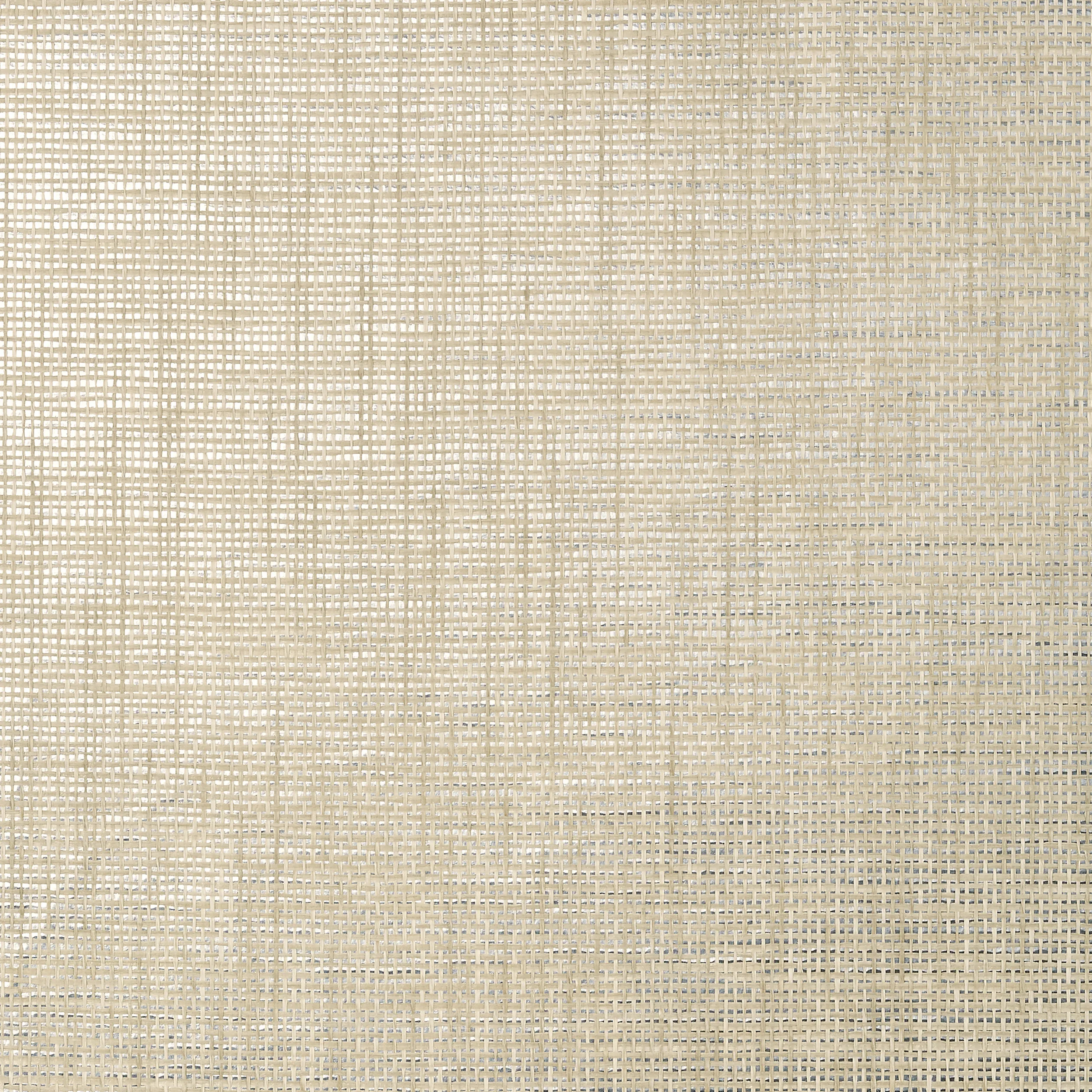 Thibaut Stablewood in Metallic Silver (T41149)