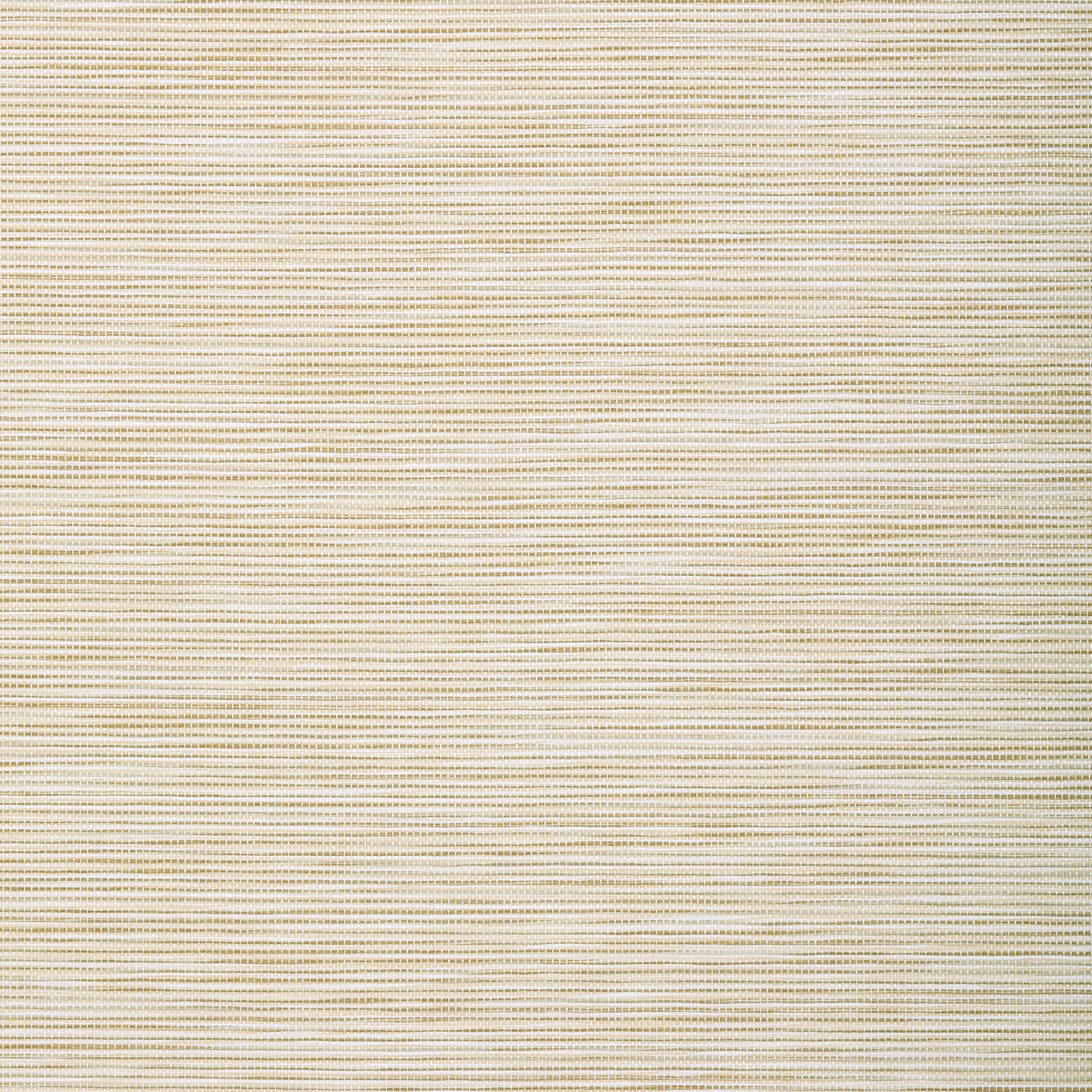Thibaut Stream Weave in Beige (T72842)