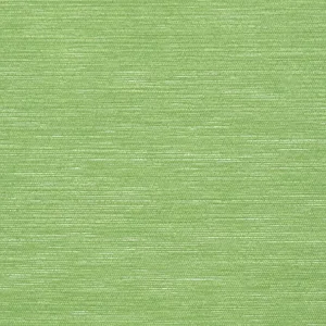 Thibaut Surfrider in Emerald Green (T13107)