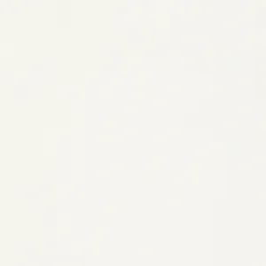 Thibaut Surfrider in White (T13112)