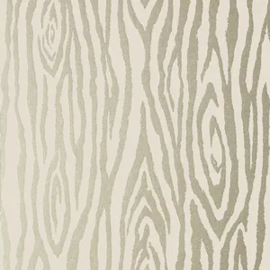 Anna French Surrey Woods in Metallic Champagne (AT6014)