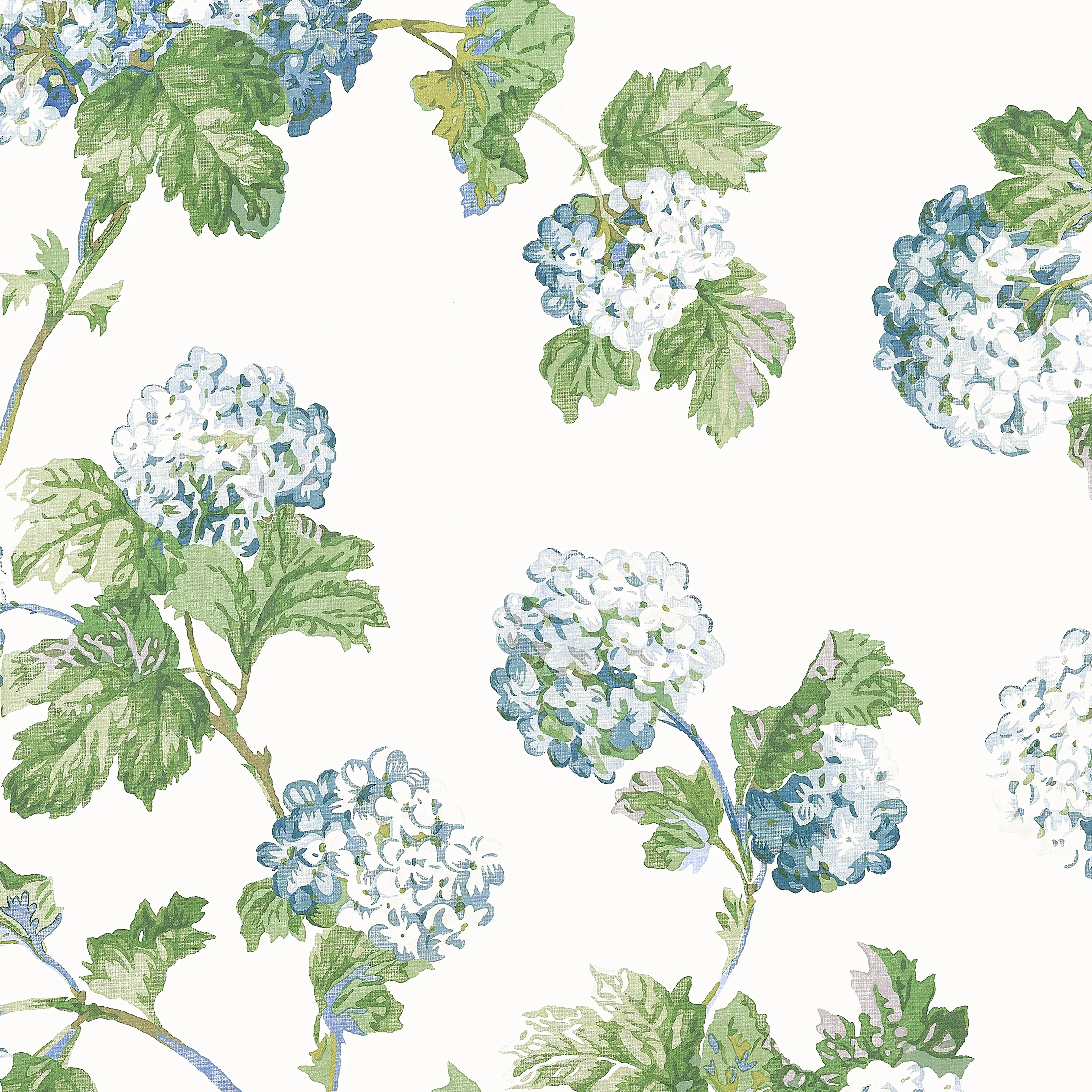 AT57846 | Sussex Hydrangea – Blue and Green