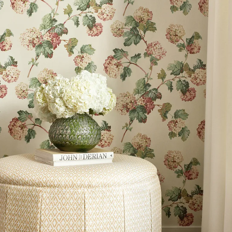 Anna French Sussex Hydrangea in Soft Gold (AT57848)