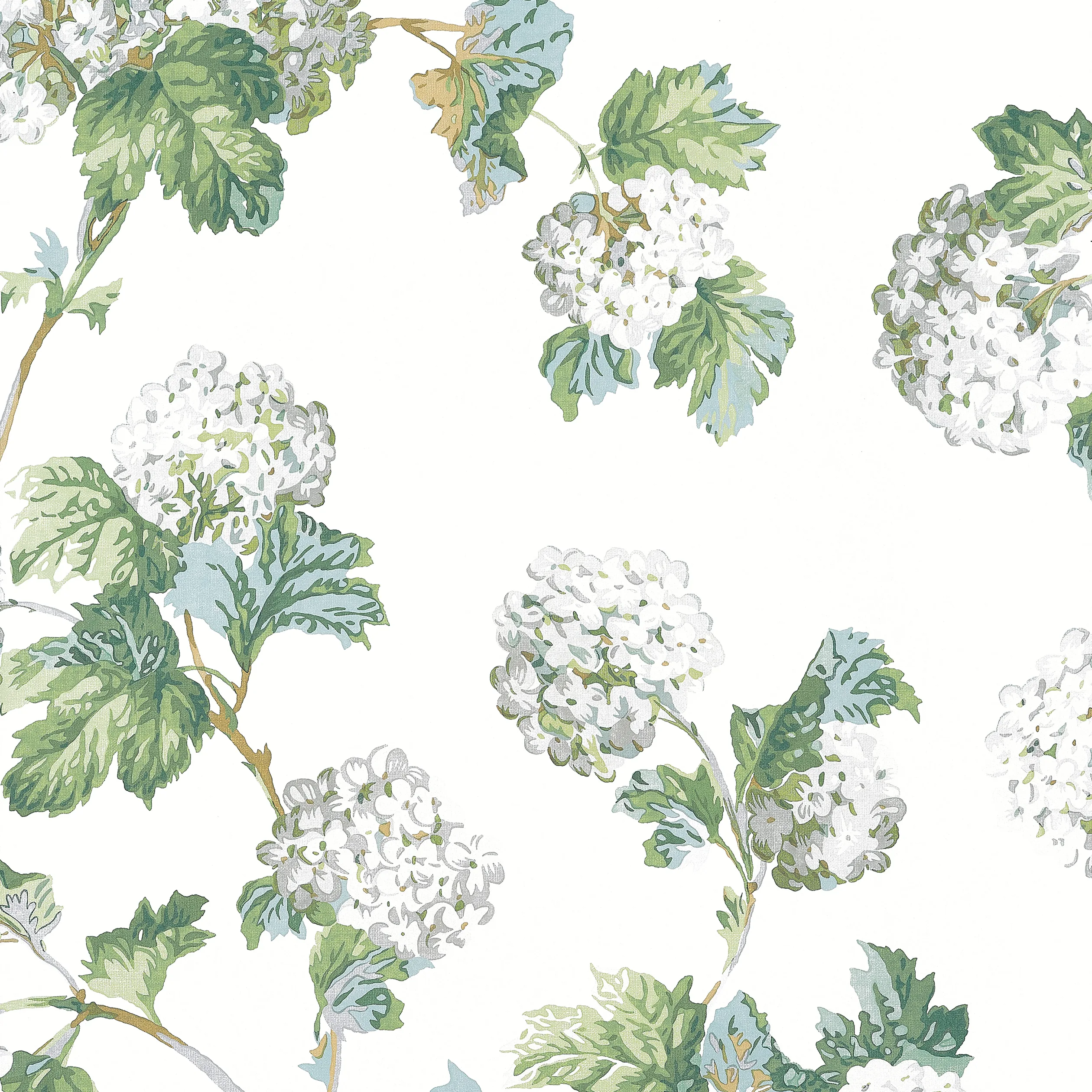 AT57849 | Sussex Hydrangea – White and Green