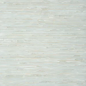 Thibaut Sutton in Aqua (T24058)