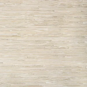 Thibaut Sutton in Beige (T24056)