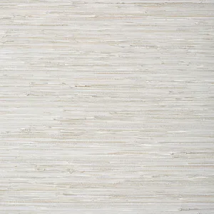Thibaut Sutton in Grey (T24057)