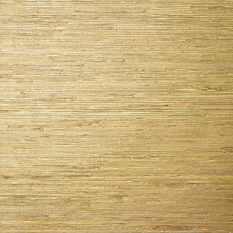 Thibaut Sutton in Metallic Gold (T24062)